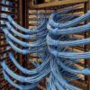 A close-up view of blue network cables neatly bundled with SPEEDWRAP® Cable Ties inside a server room rack.