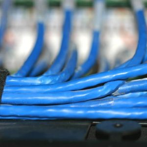 Close-up of blue Ethernet cables bundled together in a network rack or cabinet in a data center.