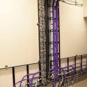 Neatly organized network cables, including several purple and black wires, run vertically and horizontally along a beige wall, held in place by metal cable trays.